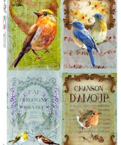 Hârtie de orez - Birds - A5