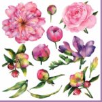 Șervețel - Pivoine et Freesia – 33×33 cm