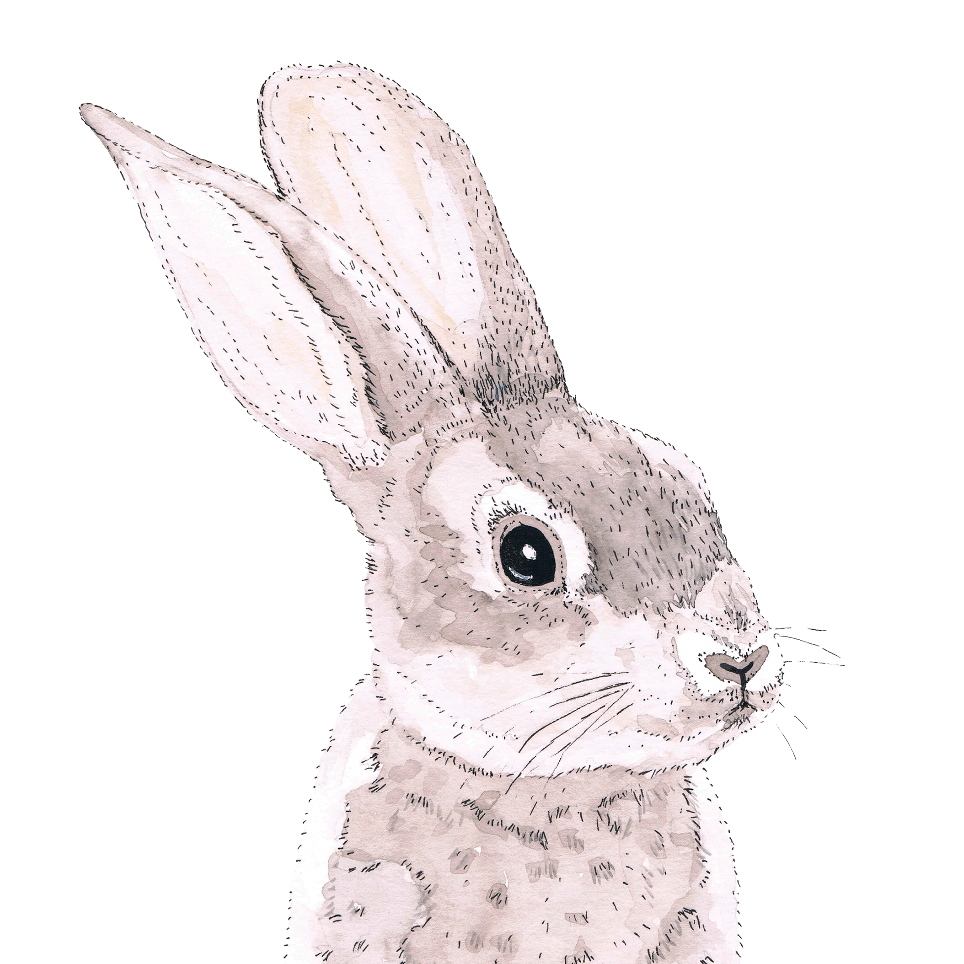 Șervețel decorativ – Rabbit – 33×33 cm 1 Șervețel decorativ – Rabbit – 33×33 cm