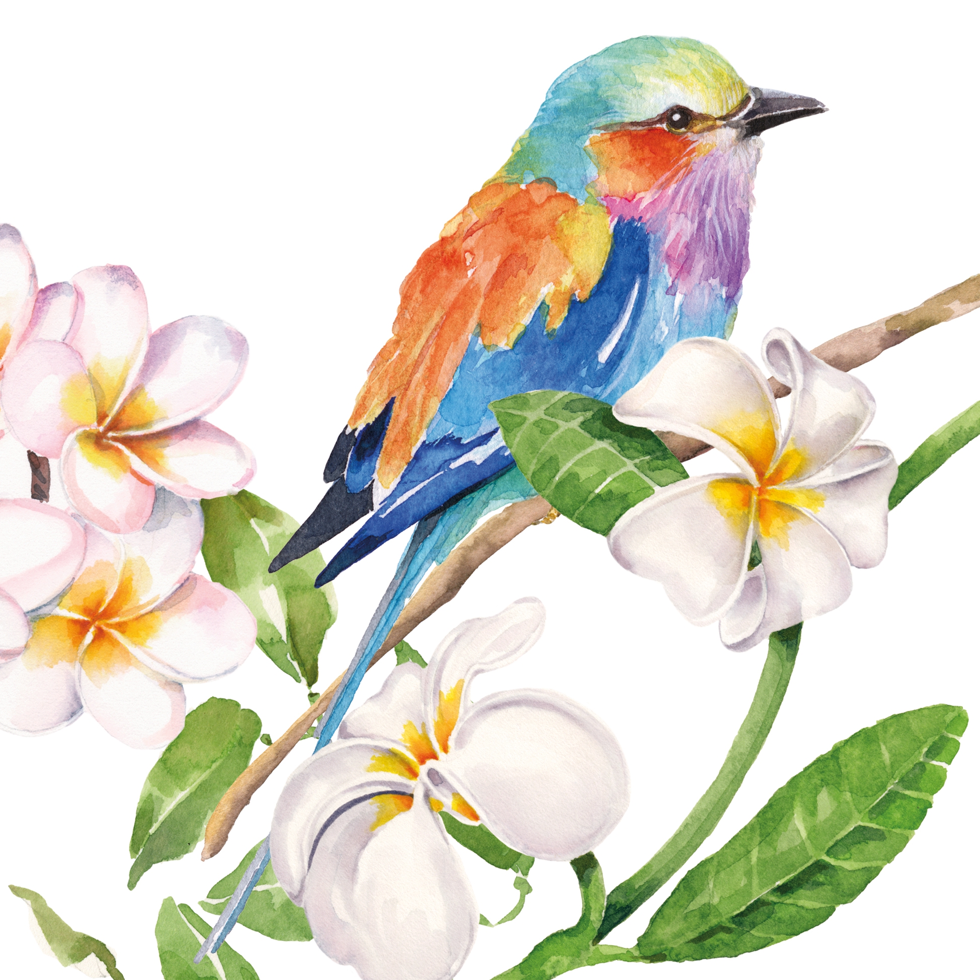 Șervețel decorativ – Sri Lanka – 33×33 cm 1 Șervețel decorativ – Sri Lanka – 33×33 cm
