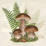 Servetel - Boletus with Leaves of Fern - 33x33cm