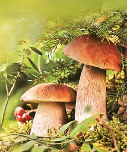 Șervețel - Couple of Boletus - 33x33cm