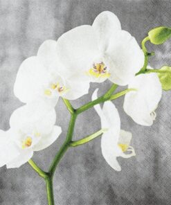 Șervețel - White Orchid - 33x33 cm