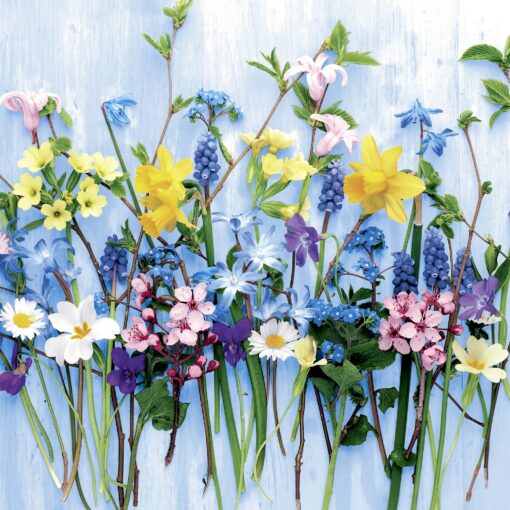 Șervețel decoupage –Spring Flowers – 33×33 cm 1