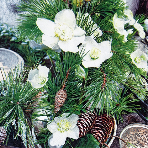 Șervețel - Winter Rose - 33x33 cm 1 Șervețel - Winter Rose - 33x33 cm