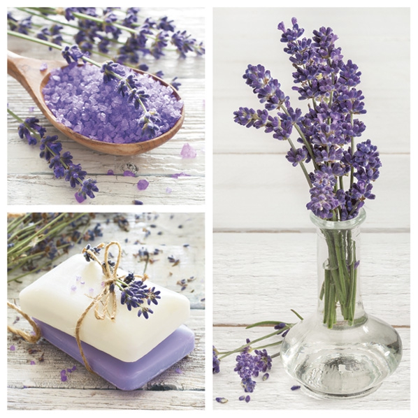 Șervețel decorativ – Lavender Spa Squares– 33×33 cm 1 Șervețel decorativ – Lavender Spa Squares– 33×33 cm