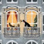 Șervețel – Townhouse Cats – 25×25 cm