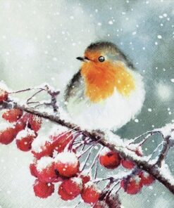 Șervețel - Hello Robin - 25x25 cm