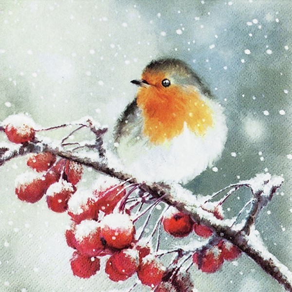 Șervețel - Hello Robin - 25x25 cm 1 Șervețel - Hello Robin - 25x25 cm