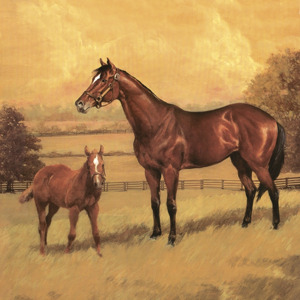 Șervețel - Mare with a Colt - 33x33 cm 1 Șervețel - Mare with a Colt - 33x33 cm