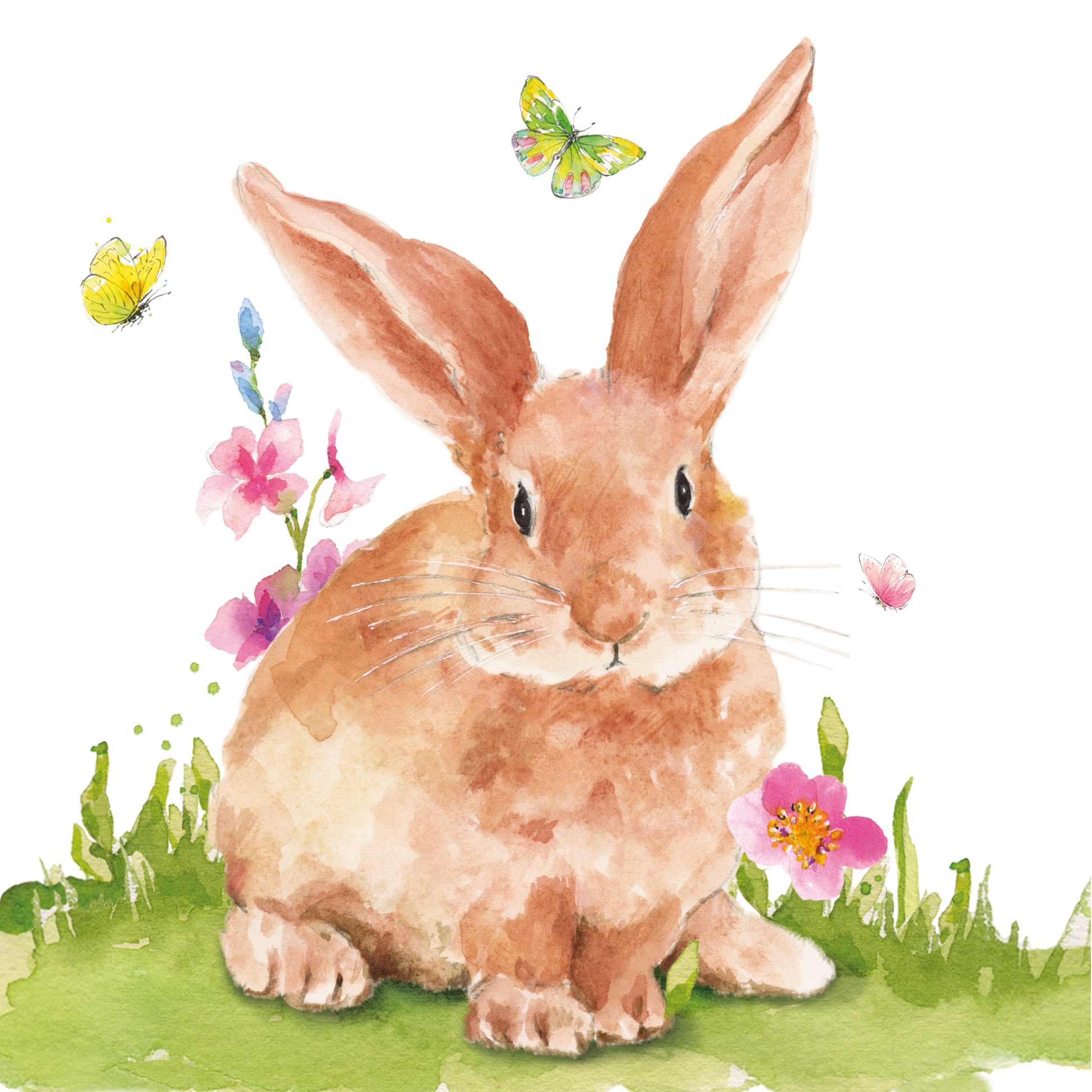 Șervețel decorativ - Mr. Rabbit - 33x33 cm 1 Șervețel decorativ - Mr. Rabbit - 33x33 cm