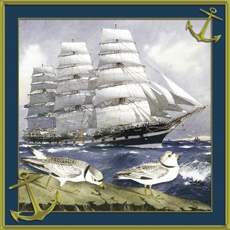 Șervețel decorativ - Windjammer - 33x33 cm 1 Șervețel decorativ - Windjammer - 33x33 cm