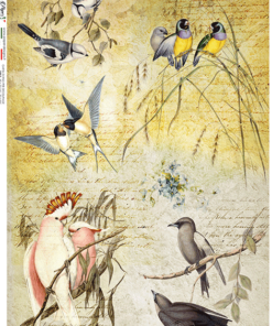 Hârtie de orez - Birds chirping - A4