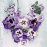Șervețel - Pansy Heart - 33x33 cm