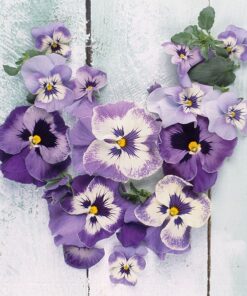 Șervețel - Pansy Heart - 33x33 cm