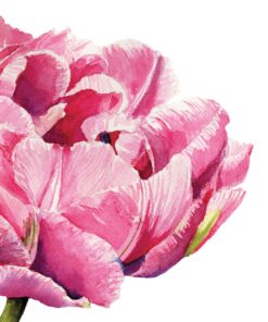 Șervețel - Pink Parrot Tulip - 33x33 cm