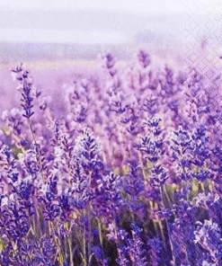 Șervețel - Field of Lavender - 33x33 cm