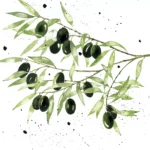 Șervețel - Olives - 33x33 cm