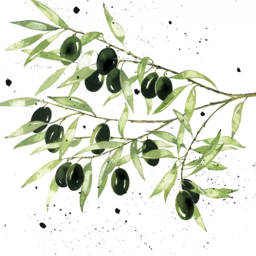 Șervețel - Olives - 33x33 cm 1