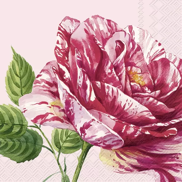 Șervețel - Charlotte rose - 33x33 cm 1 Șervețel - Charlotte rose - 33x33 cm
