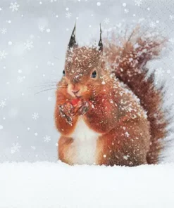 Șervețel - Snowy Squirrel - 33x33 cm