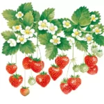 Șervețel - Summer Fruits - 33x33 cm