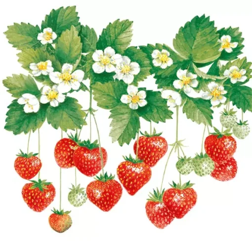 Șervețel - Summer Fruits - 33x33 cm 1