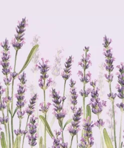 Șervețel – Lavender Shades lila– 33×33 cm