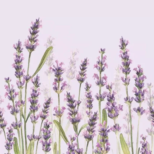 Șervețel – Lavender Shades lila– 33×33 cm 1