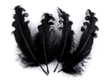 Pene decorative crețe - 12-18 cm - negru
