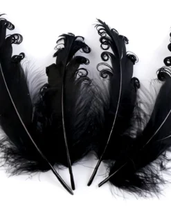 Pene decorative crețe - 12-18 cm - negru