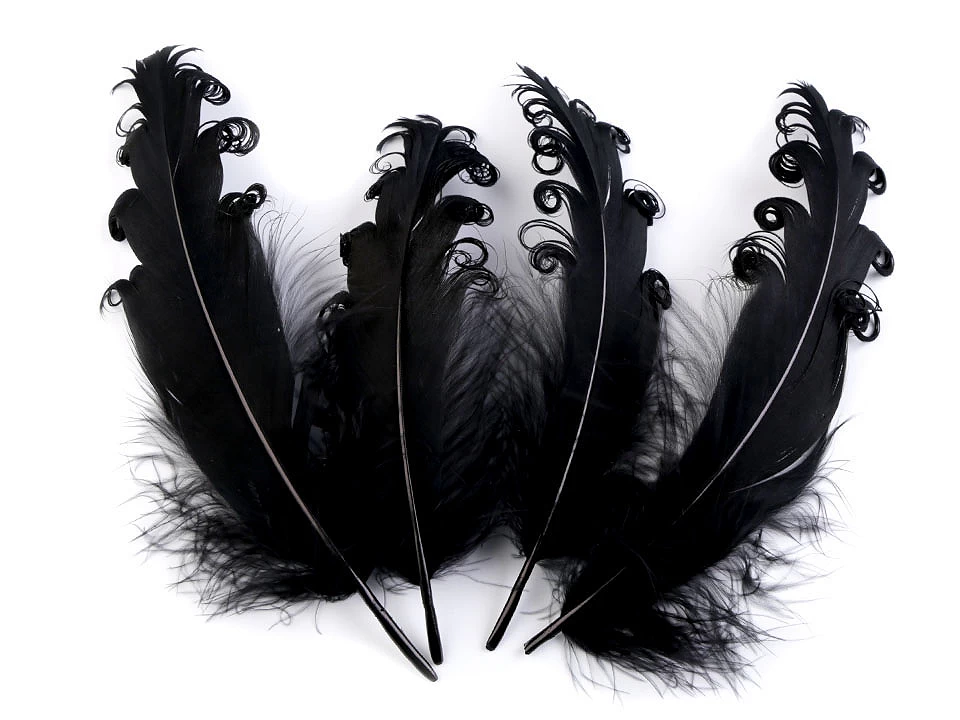 Pene decorative crețe - 12-18 cm - negru 1 Pene decorative crețe - 12-18 cm - negru