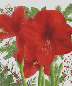 Șervețel decoupage - Amaryllis - 33x33 cm