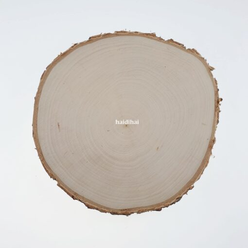Felie lemn natur – scoarță copac – ⌀ 20-24 cm 1