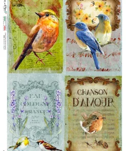 Hârtie de orez – Birds – A4
