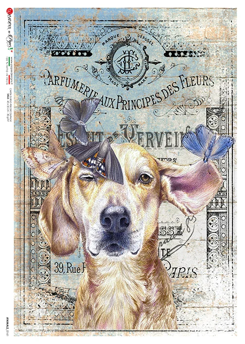 Hârtie de orez - Dog and Butterfly - A5 1 Hârtie de orez - Dog and Butterfly - A5