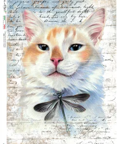 Hârtie de orez - Kitten Cat - A5
