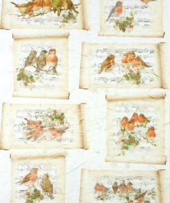 Hârtie de orez - Songbirds – 32x45 cm