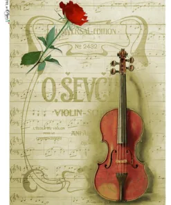 Hârtie de orez - Violin and Rose - A4