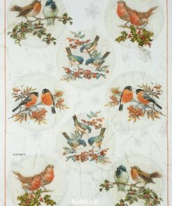 Hârtie de orez - Winter Birds - A4
