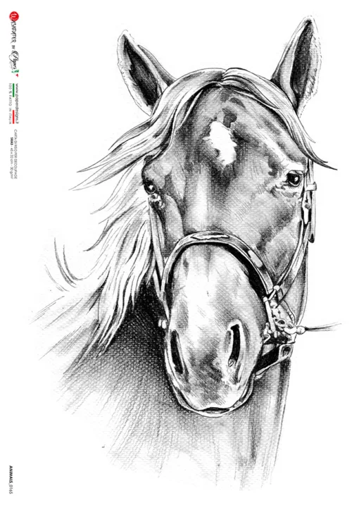 Hârtie de orez – Black and white horse – A5 1