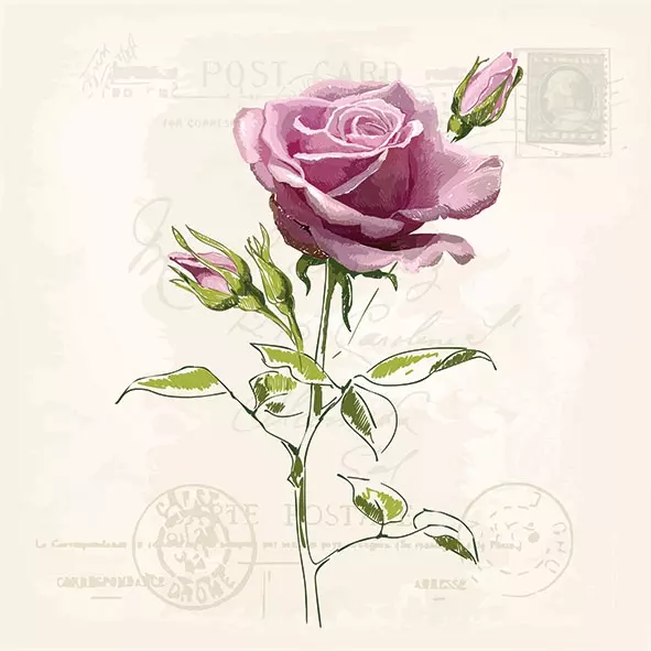 Șervețel - Vintage Rose - 33x33 cm 1 Șervețel - Vintage Rose - 33x33 cm
