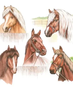 Șervețel - Horse Range - 33x33 cm