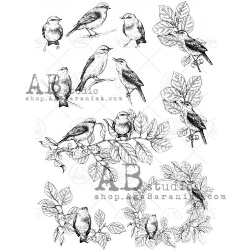 Hârtie de orez - Bird sitting sketches - A4 1