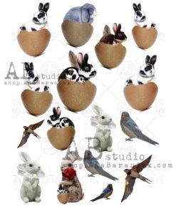 Hârtie de orez - Rabbits and Swallows - A4