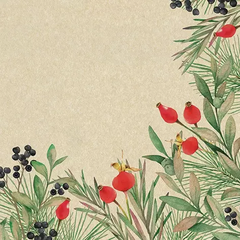Șervețel - Rosehip and Evergreen - 33x33 cm 1 Șervețel - Rosehip and Evergreen - 33x33 cm