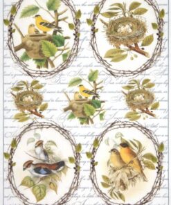 Hârtie de orez - Birds - A4