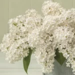Șervețel - White Lilac Bouquet - 33x33 cm