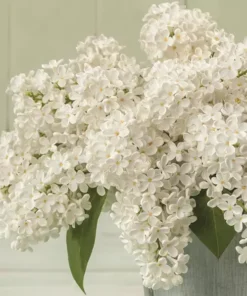 Șervețel - White Lilac Bouquet - 33x33 cm