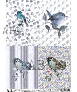 Hârtie de orez - Birds Pictures 2 - A4